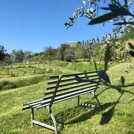 La Madonnina