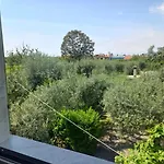 La Madonnina Bed & Breakfast Querceta