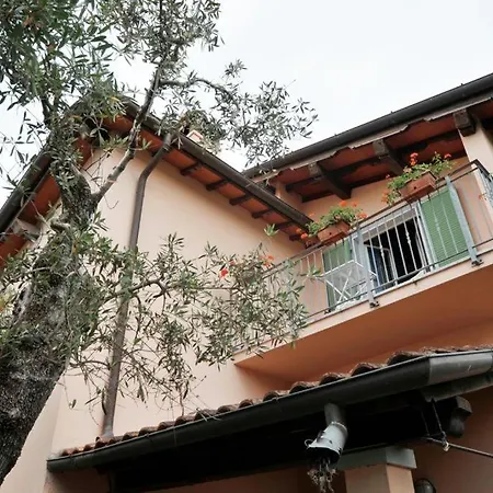 La Madonnina 3* Querceta