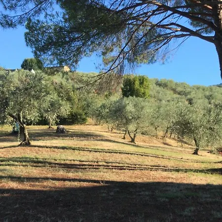 La Madonnina Couette-café Marlia