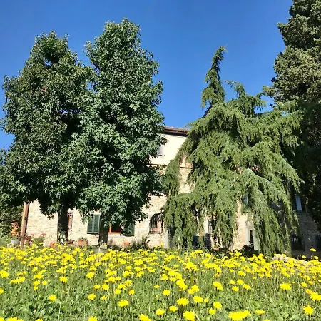 La Madonnina Couette-café