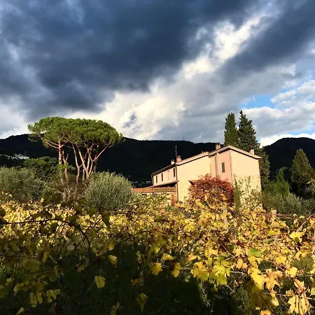 La Madonnina Couette-café *
